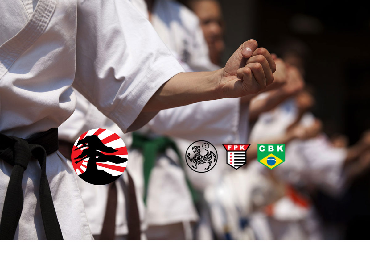 Bonsai Jyuku Karate Campinas e Barueri Karate Shotokan